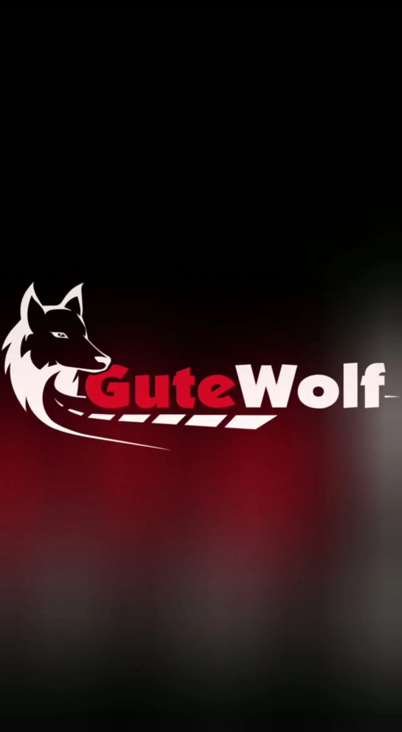 GUTEWOLF — Грунтовка и покраска цементовозов GuteWolf